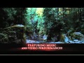THE TWILIGHT SAGA Family - TV Spot