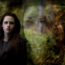 Twilight – Breaking Dawn by Bella